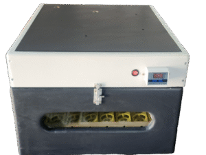 Incubadora B80